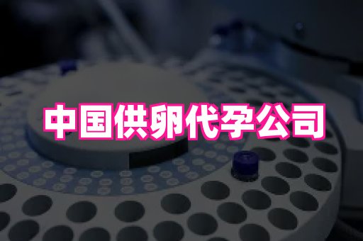 南昌助孕网 4